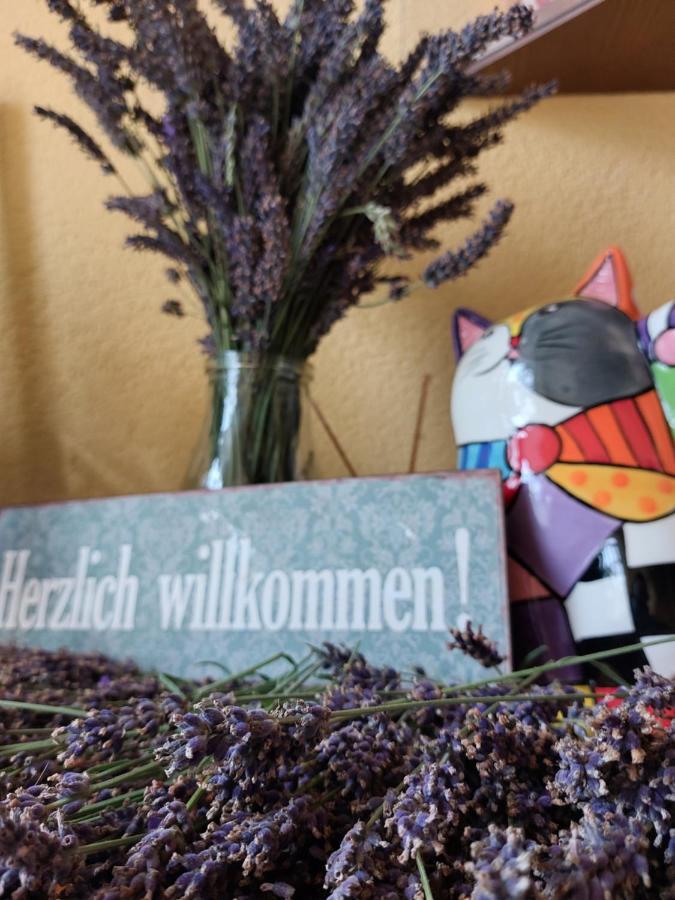 Hotel Zum Poppschen Gut Olbernhau Esterno foto