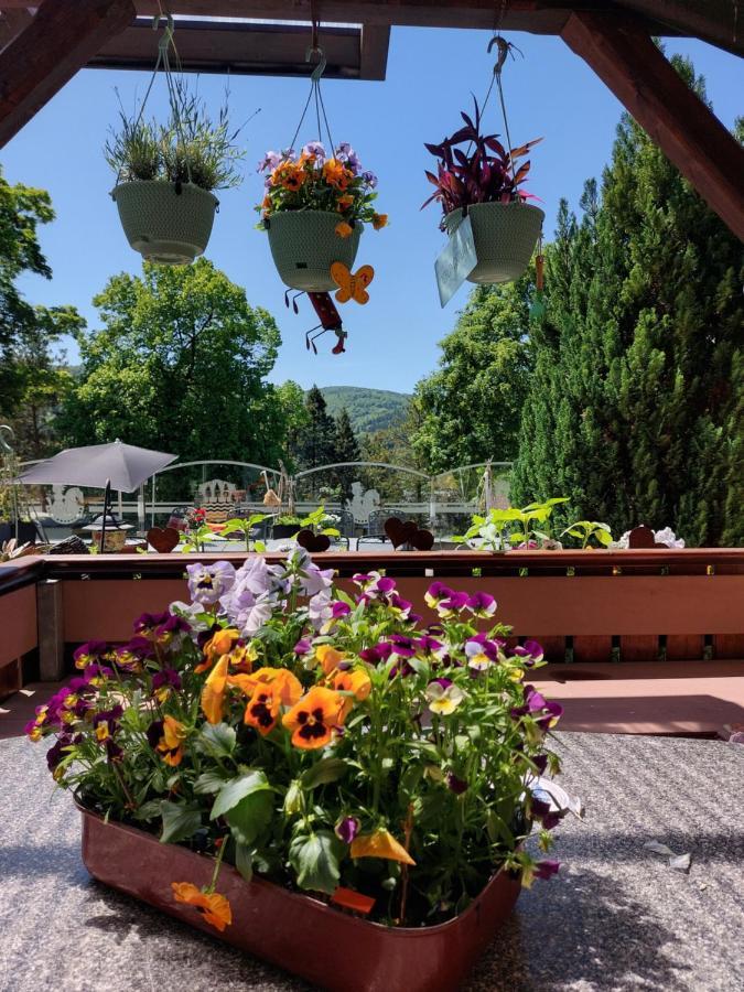 Hotel Zum Poppschen Gut Olbernhau Esterno foto
